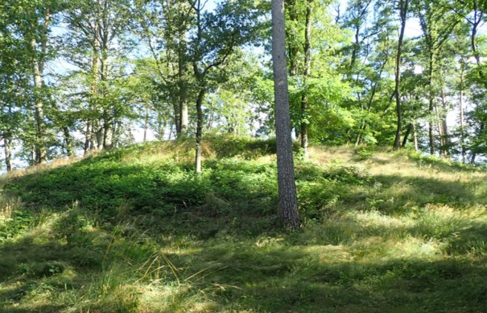 The Elite Class That Inhabited Seddin, Germany, Throughout The Bronze Age Had been Travellers And Originated From Elsewhere