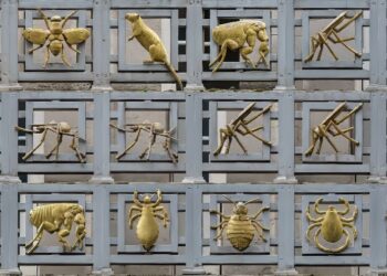 Gilded Illness-carriers Are the Grilles That Adorn the Facades of the London Faculty of Hygiene and Tropical Medication, Depicting Lice, Mosquitoes and So on