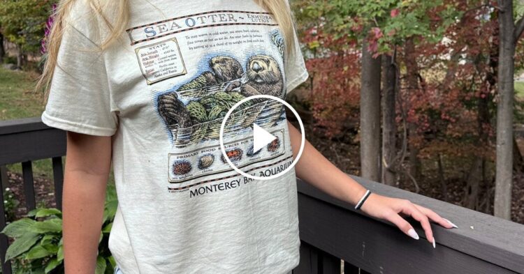 California Aquarium Raises Tens of millions After Taylor Swift Wears Otter Shirt