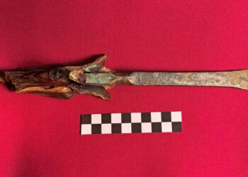 Bronze Age chisel with picket deal with present in cave – The Historical past Weblog