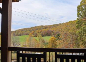 Jeter Mountain Farm Apple Selecting
