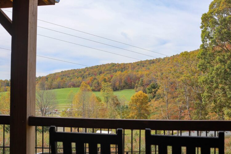 Jeter Mountain Farm Apple Selecting