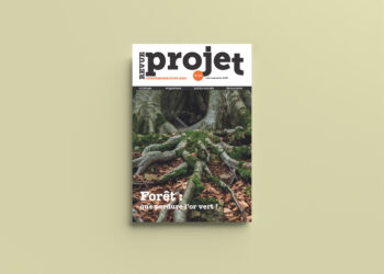 Deforestation and reforestation | Eurozine