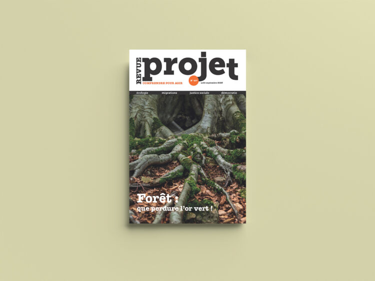 Deforestation and reforestation | Eurozine