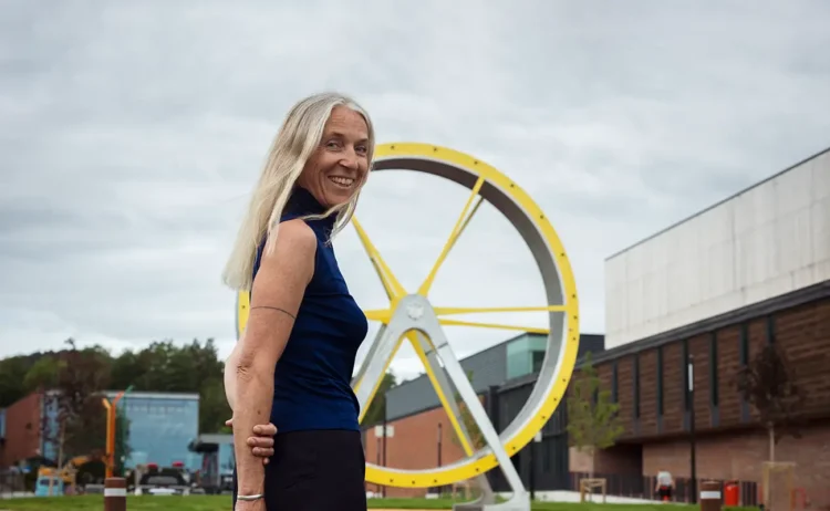 Viel Bjerkeset Andersen: The Structure of Human Expertise