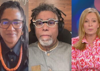 US artists launch nationwide ‘Fall of Freedom’ protest towards rising censorship