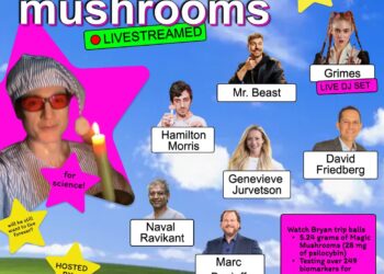 Grimes DJing Immortality Influencer’s Shroom Journey With Particular Visitor Mr. Beast