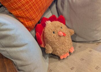 Hole Week, November 28, 2025 (Thanksgiving) – A Assortment of Unmitigated Pedantry