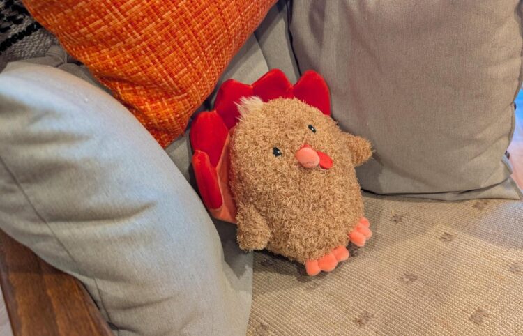 Hole Week, November 28, 2025 (Thanksgiving) – A Assortment of Unmitigated Pedantry