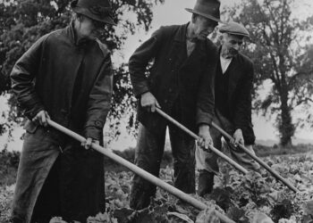 Ploughing Up Postwar Britain | Historical past At the moment