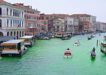 Greta Thunberg Banned From Venice After Dyeing Canal Inexperienced