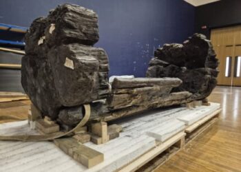 Bronze Age log coffin readied for show – The Historical past Weblog