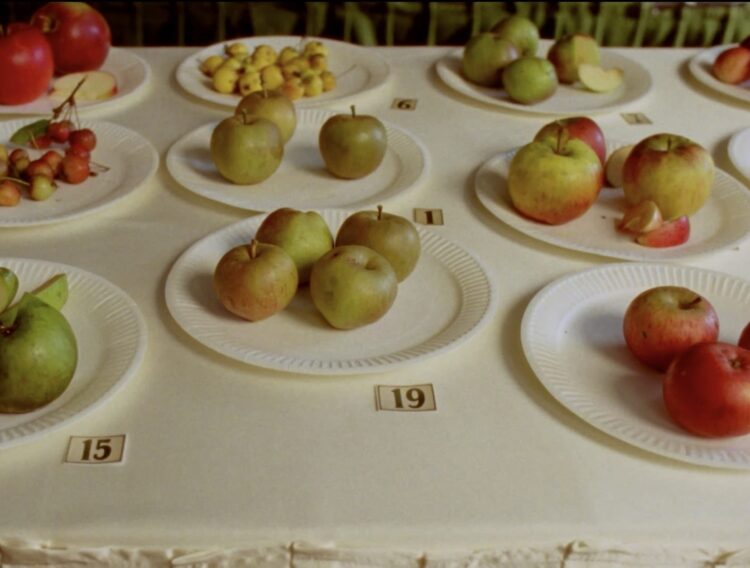 ‘Some Attention-grabbing Apples’ Delves into the World of Feral Fruit — Colossal