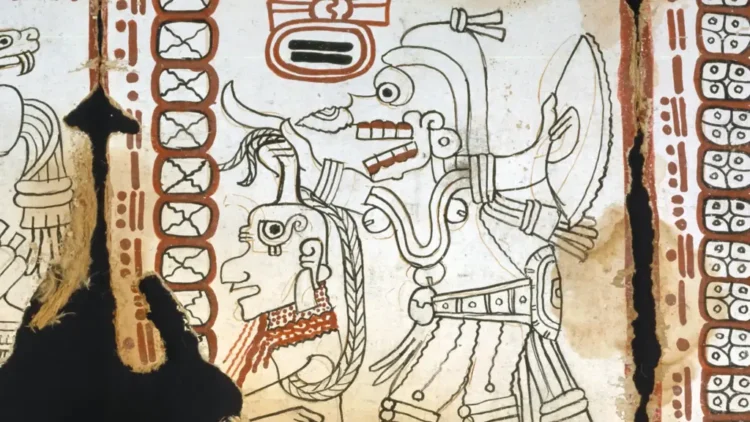 Uncover the Oldest Guide of the Americas: A Shut Take a look at the Astronomical Maya Codex of Mexico