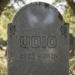 Will Udio Nonetheless Exist In 2026?