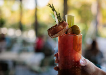 Your South Florida Vacation Break Information