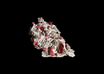 Christiana Fraise: The Reminiscence That Builds Itself