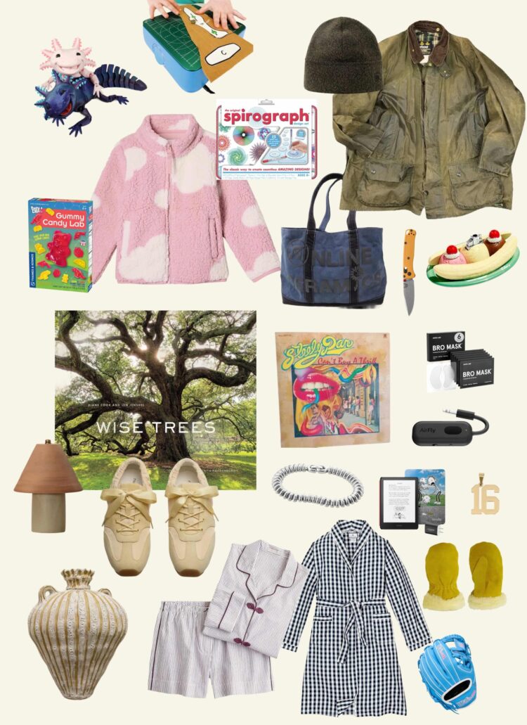 My Household’s 2025 Vacation Want Lists: 47 Present Concepts for Folks of All Ages | Wit & Delight