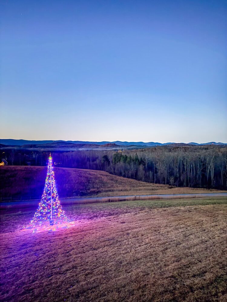 Thanksgiving Week 2025 – A Wholesome Slice of Life