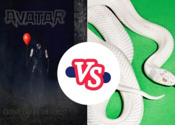 Higher 2025 Album – ‘Do not Go within the Forest’ vs. ‘non-public music’