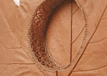 Meticulously Stitched Leaves Rework into Tender Sculptures by Susanna Bauer — Colossal