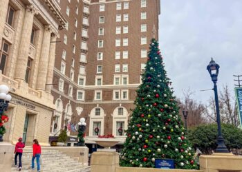 5 on Friday – A Wholesome Slice of Life