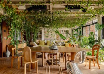 A ‘Hybrid Habitat’ By Guto Requena Offers New That means to ‘City Jungle’ in São Paolo — Colossal