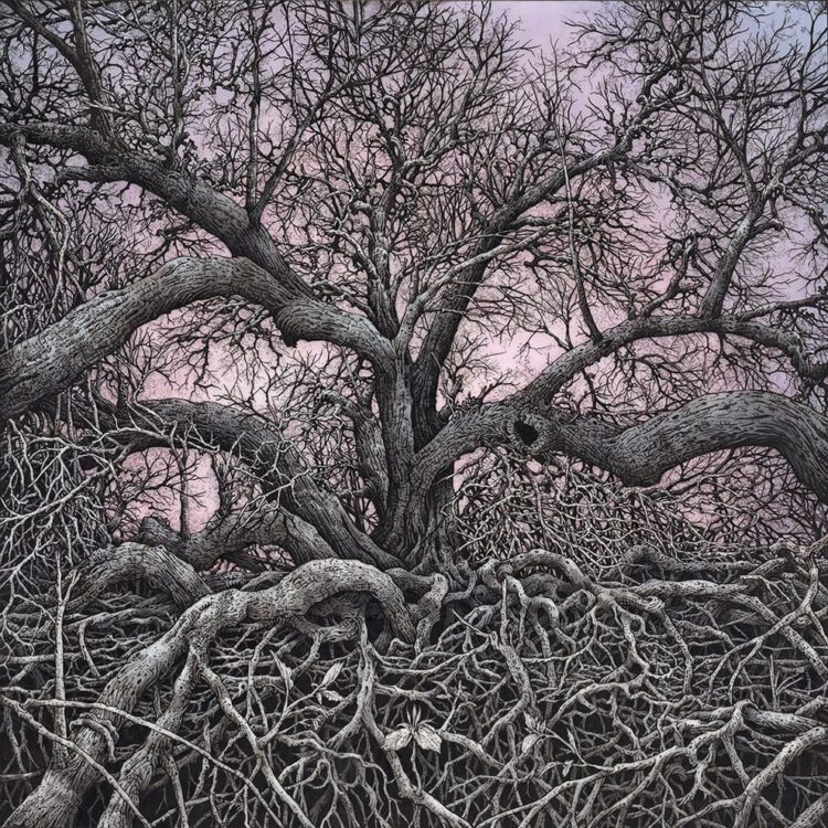 Illustrator Attracts Monumental Tree‑scapes On Clear Dura‑Lar, Braid­ing Roots, Rocks And Reminiscence Into Delicate, Sci‑fi‑tinged Forest Architectures