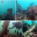 7,000-12 months-Previous Underwater Wall Found Off French Coast – Has The Legendary Submerged Metropolis Of Ys Been Discovered?