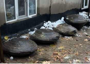 What Are The Uncommon Big Spherical Stones Found In Japanese Türkiye?