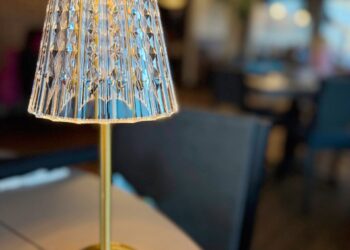 Our First Amazon Purchases of the 12 months