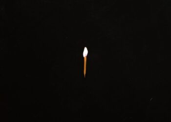 Take heed to Sault’s New Album Chapter 1