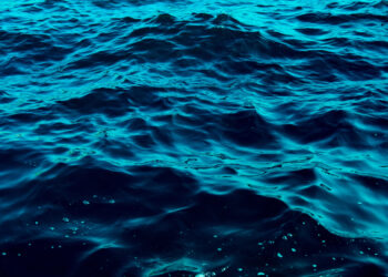 4 Work Of An Ocean Price Preventing For