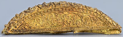 Tang Dynasty noblewoman buried with gold hair ornaments and Persian cash – The Historical past Weblog