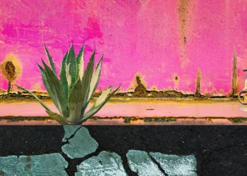 Hugh St.John Burden: Remodeling Decay into Imaginative and prescient