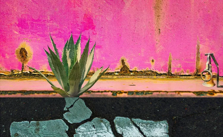 Hugh St.John Burden: Remodeling Decay into Imaginative and prescient