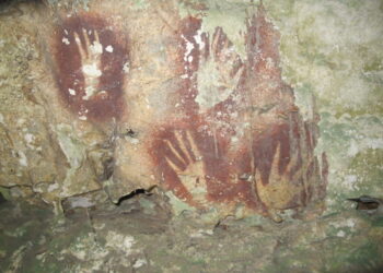 The World’s Oldest Cave Artwork, Found in Indonesia, Is at Least 67,800 Years Previous