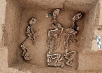 3,000-year-old royal menagerie present in China – The Historical past Weblog