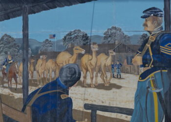 The Rise and Fall of the US Military Camel Corps