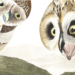 Obtain 435 Excessive Decision Pictures from John J. Audubon’s The Birds of America