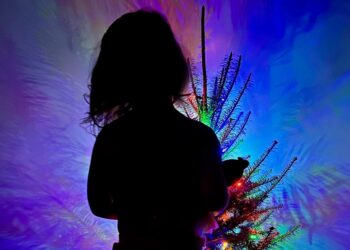 Does Anybody Else Have ‘Ornament Guilt’?