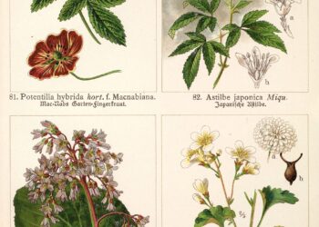 ‘Gold from Newton’s Apple Tree’ Traces Pure Pigment Recipes from the Historical World to In the present day — Colossal