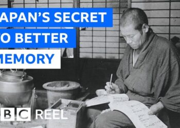 The Historical Device Utilized in Japan to Strengthen Reminiscence & Focus: The Abacus