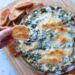 Spinach Artichoke Dip – A Lovely Mess