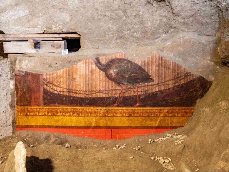 Archeologists Uncover New Frescoes at Villa di Poppea Exterior Naples
