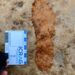 Canine walkers in Scotland hit upon 2,000-year-old footprints – The Historical past Weblog