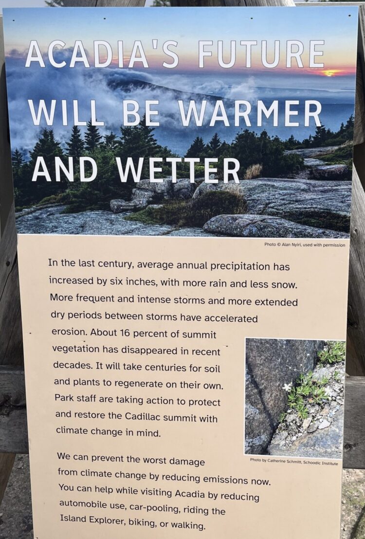 Interregnums, Morbid Signs, and Local weather Denial – Lively Historical past