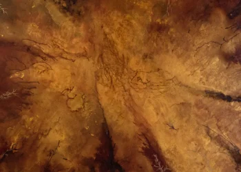 Grzegorz Gust: Between Stillness, Texture, and Gentle