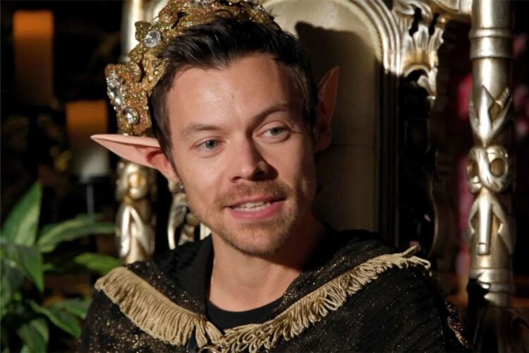 New Harry Types Track “Coming Up Roses” Debuts At Fred once more.. Present