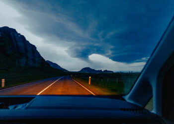 “Lupine” by Photographer Daniel Dorsa